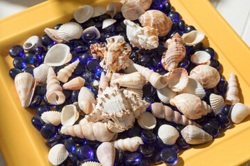 Piatto di conchiglie e vetri blu