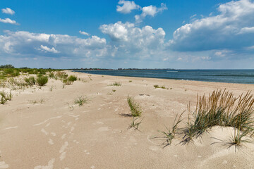 Wild beach landscape near Prymorske, Ukraine.