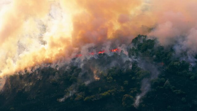 Summer wildfire or fire in nature with smoke, aerial view from drone. Burning dry grass and trees. Natural disaster in forest in dry season.