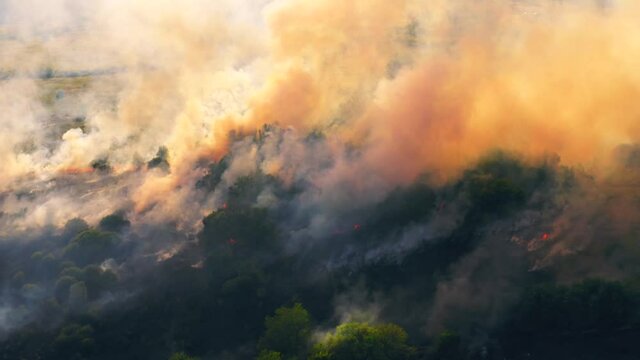 Summer wildfire or fire in nature with smoke, aerial view from drone. Burning dry grass and trees. Natural disaster in forest in dry season.