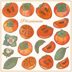 Persimmon, flowers and leaves set. Organic food, vector doodle hand drawn sketch style illustrations collection isolated.