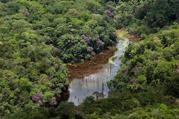 Vista aérea de igarapé na floresta amazônica