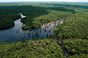 Vista aérea de igarapé na floresta amazônica