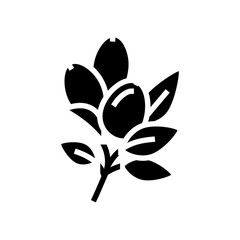 rosehip aromatherapy glyph icon vector. rosehip aromatherapy sign. isolated contour symbol black illustration