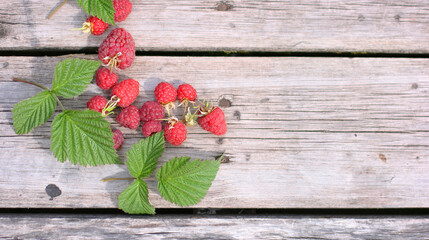 Raspberries on a wooden background. Photo with copy space. Top view of ripe berries