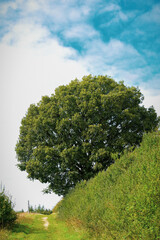 Quiet location for an outdoor walk or hike in british countryside