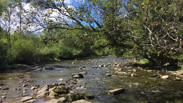 Wolosatka river in ustrzyki gorne bieszczady mountains in Poland
