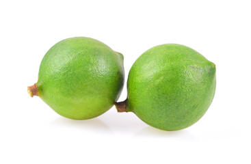 Macadamia nuts on white background