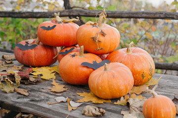 Happy Halloween, Thanksgiving. Pumpkin fruit with maple leaves on a wooden table, collecting the autumn harvest. Concept of tradition.