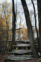 Old wooden footbridge in the forest near the river. Autumn landscape with yellow leaves, bare bushes and a log structure.