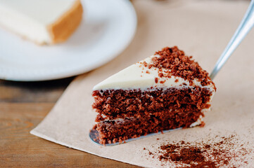 Portion of tasty chocolate biscuit cake with cocoa powder topping on cooking vane with cheesecake in background