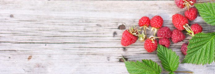 Raspberries on a wooden background. Banner size with copy space. Top view of ripe berries