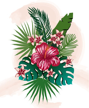 Composition of tropical flowers and leaves. Hibiscus, frangipani, palm and monstera