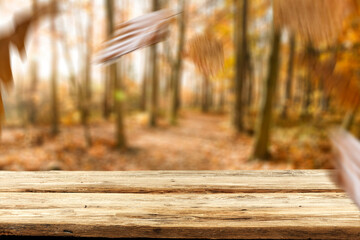 Desk of free space and autumn landscape 