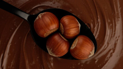 hazelnuts in black spoon and melted chocolate on background