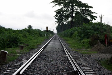 Fototapeta premium Picture of Railway track and trees