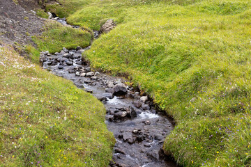 Green valley in Iceland. Green grass, wildflowers and small beautiful river.
