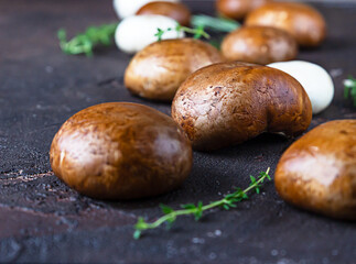 Portobello mushrooms, thyme and rosemary over dark brown concrete background. Selective focus. Close up.