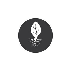 Obraz premium tree roots vector icon illustration design