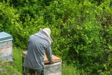 Beekeeper by the beehive near Maulbronn Monastery