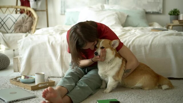 young woman petting lovable corgi dog sitting on bed in bedroom with modern interior. Avki girl feed puppy with treat, hug and kiss. People and animals friendship concept.