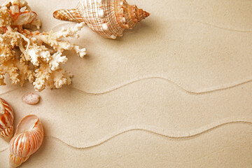 Fototapeta na wymiar Different beautiful sea shells and coral on sand, flat lay. Space for text