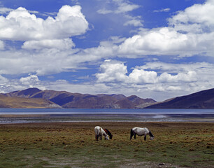 Fototapeta premium Tibet Yamdrok Lake