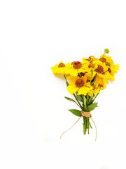 A bouquet of yellow rudbekia flowers or coneflowers on a white background. A place for text. Gift card.