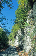 Single track roadway towards mountain summit. Sheer rock face. Green trees and vegetation. Steep incline. Blue sky. Sunshine.