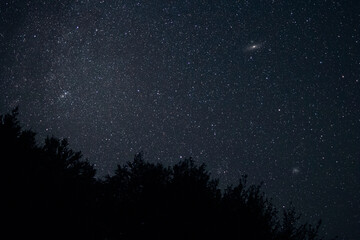 Starry Night Sky in Poloniny National Park