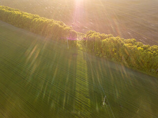 Naklejka na ściany i meble Aerial view. Agricultural field in the rays of the sunset.