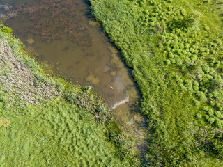 Aerial drone view. Country lake. Green grass on the shore.