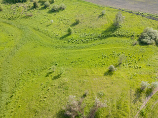 Green meadow in sunny weather. Aerial drone view.