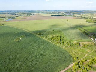 Green agricultural field. Aerial drone view.