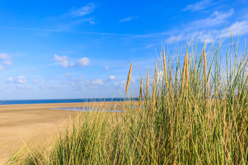 Sanddüne in Holland an der Nordsee