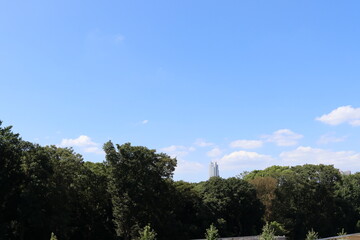 Obraz premium a tower over green forest