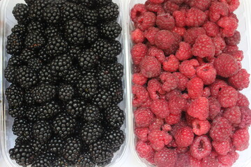 raspberries and blackberries, back and red berries on white background