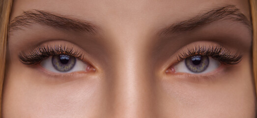 Eyelash Extension Procedure. Woman Eye with Long Eyelashes. Close up, selective focus. - 377154389