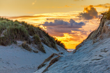 Sanddüne in Holland an der Nordsee