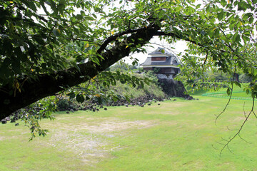 Greeneries and ruins around Kumamoto Castle post earthquake
