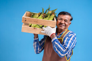 Portrait of an elderly Asian farmer smiling and holding a crate filled with corn standing in front...