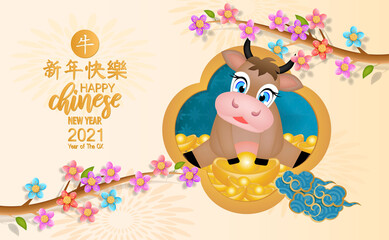 Fototapeta premium Happy Chinese new year for the Ox 20201 with follower and firecracker. The Chinese is mean : Happy Chinese new year.