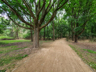 PARK MIEJSKI W CENTRUM MIASTA. BERLIN, NIEMCY