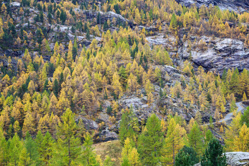View of landscape furi mountain in autumn season from cable car in zermatt, swiss