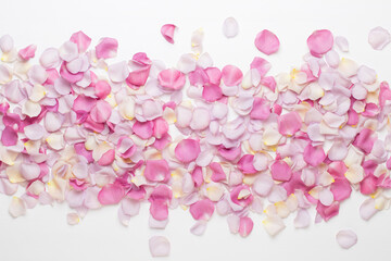 Fototapeta na wymiar Pink rose flowers petals on white background. Flat lay, top view, copy space.