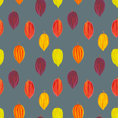 Seamless pattern colorful cocoa fruits on a grey background. Colorful background for design cafe, restaurant,  packaging, wallpaper, fabric, textile, stationery, accessories.