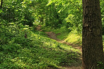 Park, Plac zabaw, Huśtawka, Pomnik, Puzon, Baśka © woodyd