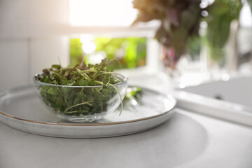 Bowl of fresh organic microgreen on countertop near sink in kitchen