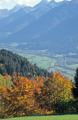 Mountain view of the Gail river and fields in valley. Autumn. Red and golden leaves in forest. Carnic mountain range in background. Late afternoon sunset. Clouds and mist. 