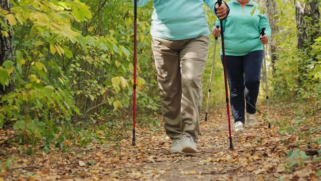 Closeup Legs Of Senior Women With Trekking Poles Walk In The Park. Practicing Nordic Walking Outdoors